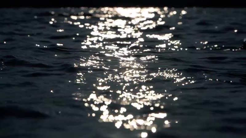 Ocean scene