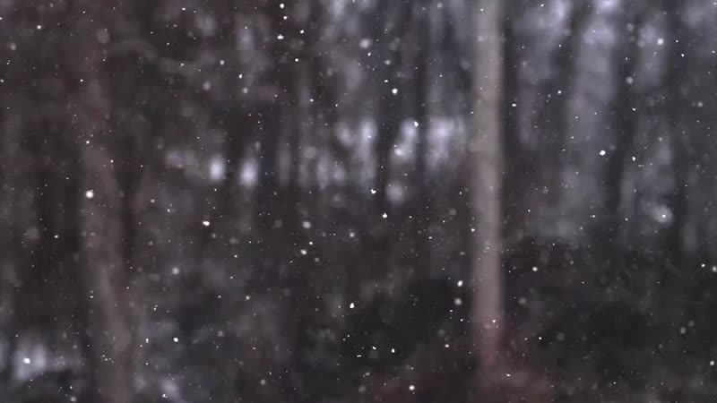 Snow scene